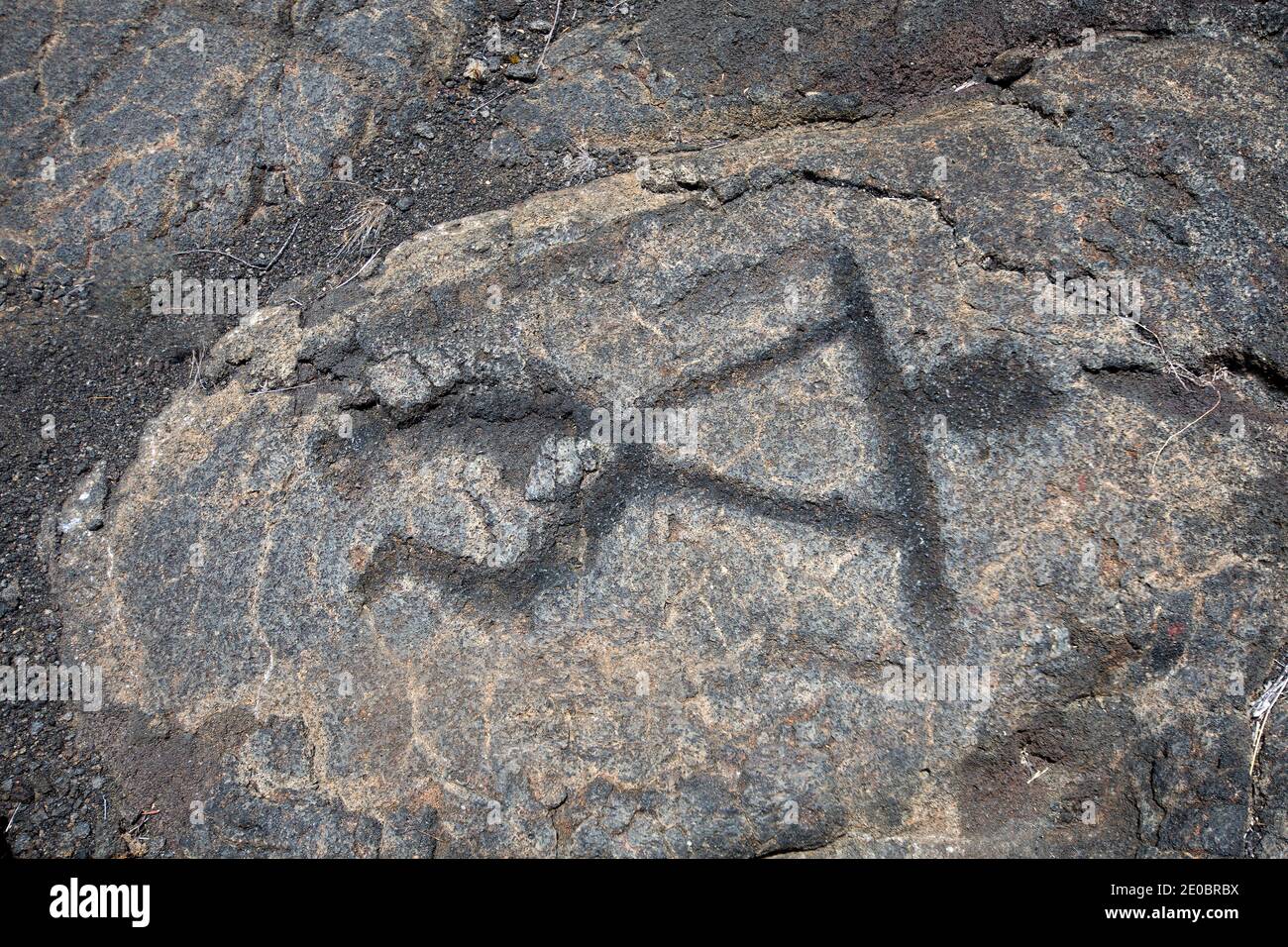 Pu`u Loa Petroglyphs. Volcanoes National Park, Big Island Hawaii Stock Photo
